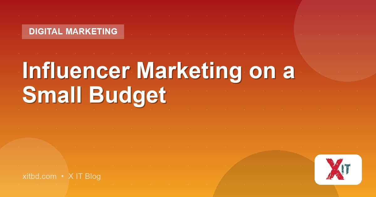 Influencer Marketing on a Small Budget